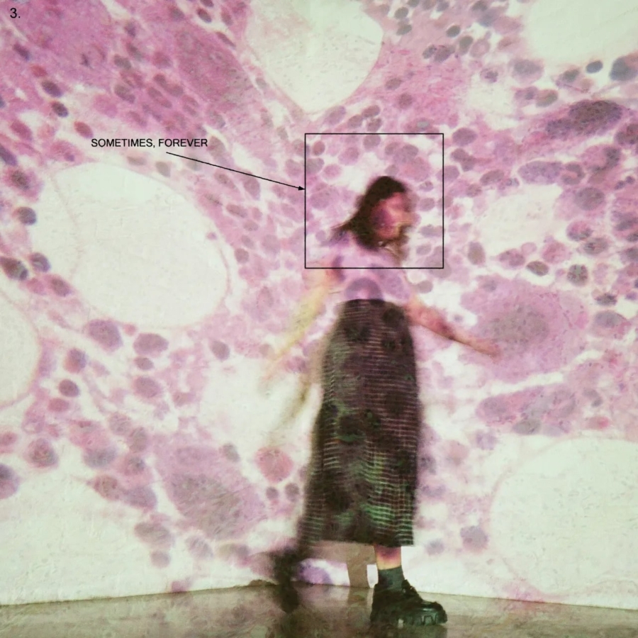 Soccer Mommy - Sometimes, Forever (Orchid Vinyl LP)