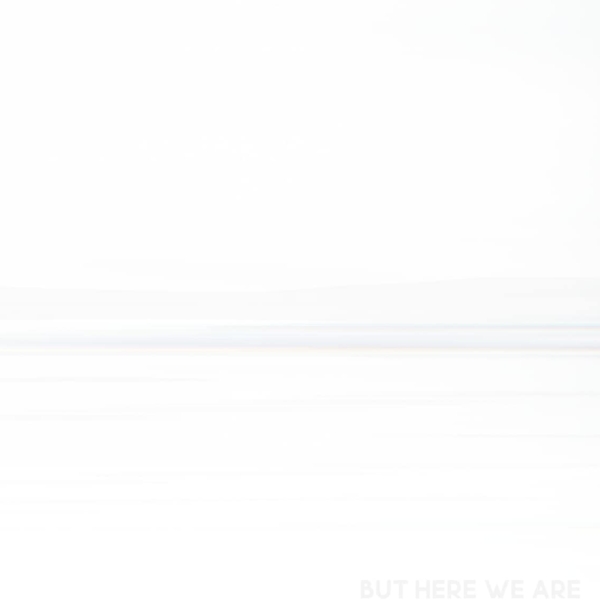Foo Fighters -  But Here We Are (White Vinyl LP)