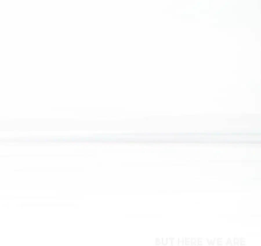 Foo Fighters -  But Here We Are (White Vinyl LP)
