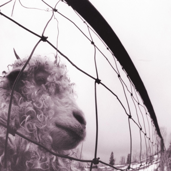 Pearl Jam - Vs (Reissue, Remastered Vinyl LP)