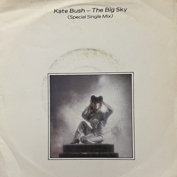 Kate Bush - The Big Sky / Not This Time **Used 7-inch**
