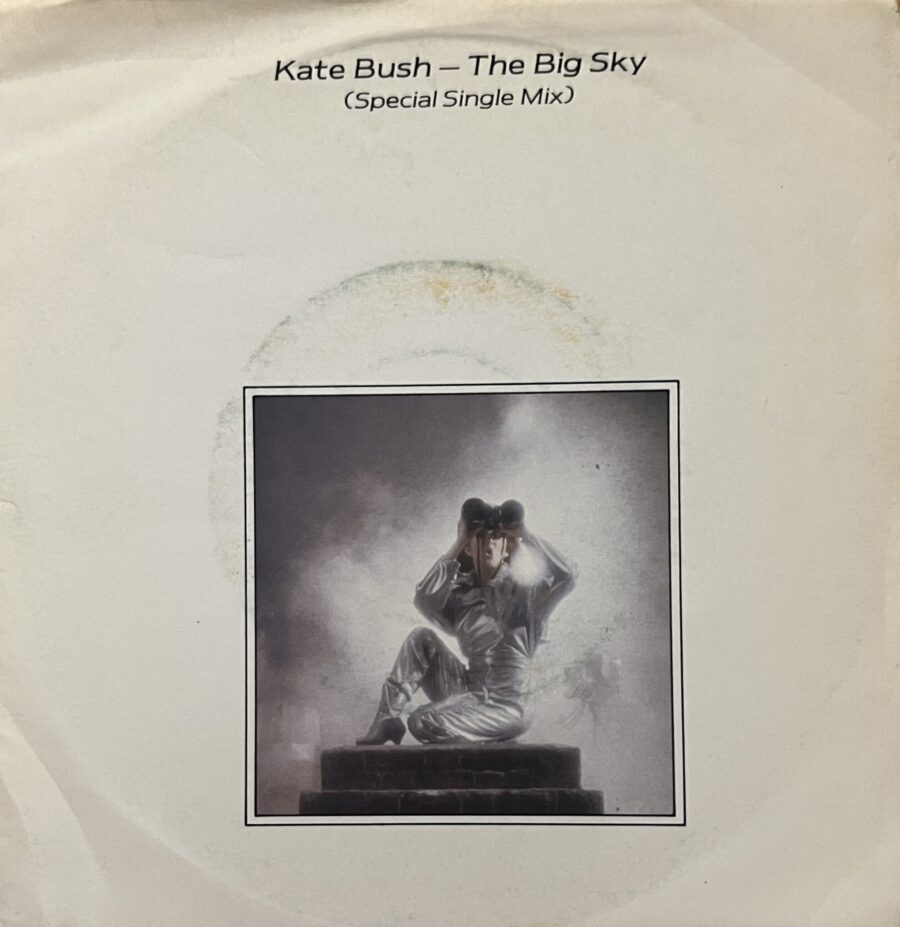 Kate Bush - The Big Sky / Not This Time **Used 7-inch**