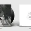 LCD Soundsystem - X-Ray Eyes (12" Single Vinyl LP) - Image 2