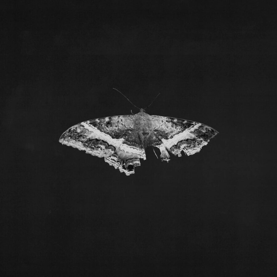 Kendrick Lamar - To Pimp A Butterfly (10th Anniversary Metallic Vinyl 2LP)