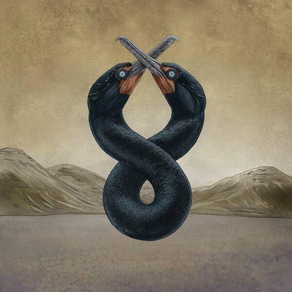 The Cormorants I & II