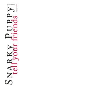 Snarky Puppy