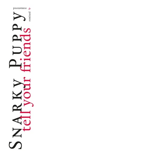 Snarky Puppy