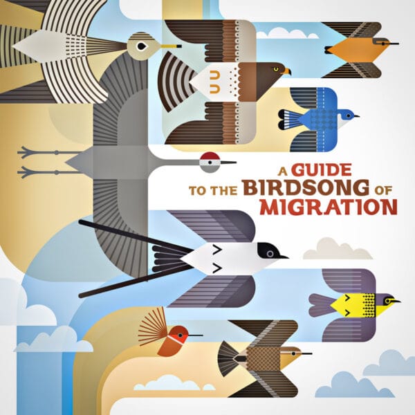 Guide to Birdsong Migration