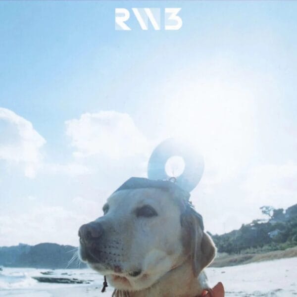 Radwimps 3